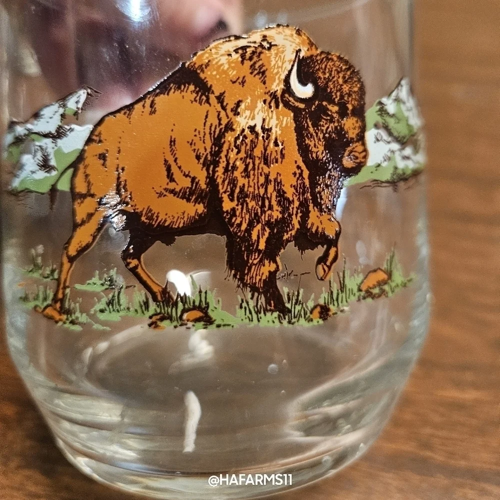 Wildlife Glasses